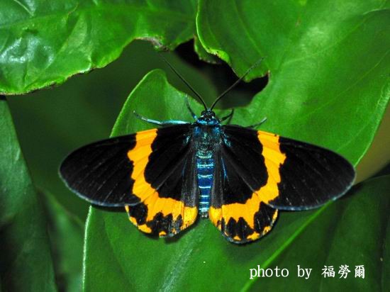 按此在新視窗瀏覽圖片