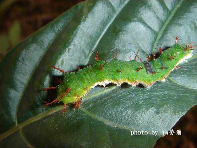 按此在新視窗瀏覽圖片