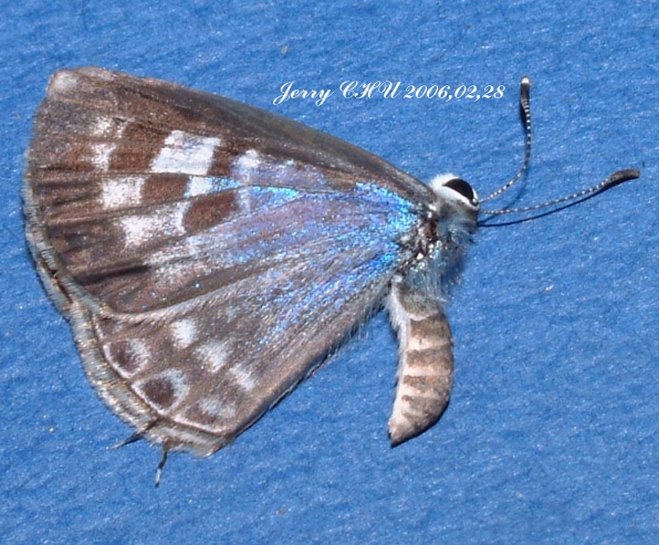 按此在新視窗瀏覽圖片