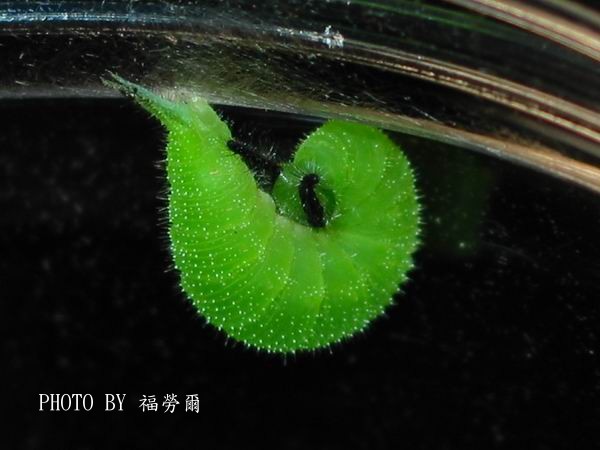 按此在新視窗瀏覽圖片