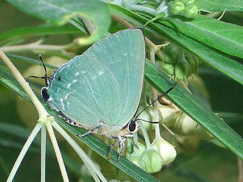 按此在新視窗瀏覽圖片
