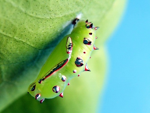 按此在新視窗瀏覽圖片