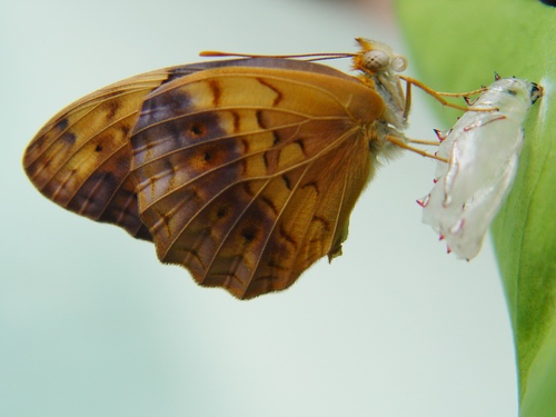 按此在新視窗瀏覽圖片