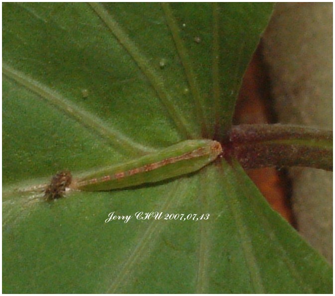 按此在新視窗瀏覽圖片