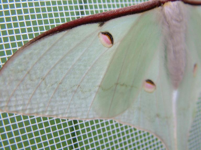 «ö¦¹¦b·sµøµ¡ÂsÄý¹Ï¤ù