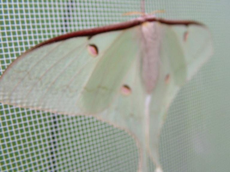 «ö¦¹¦b·sµøµ¡ÂsÄý¹Ï¤ù