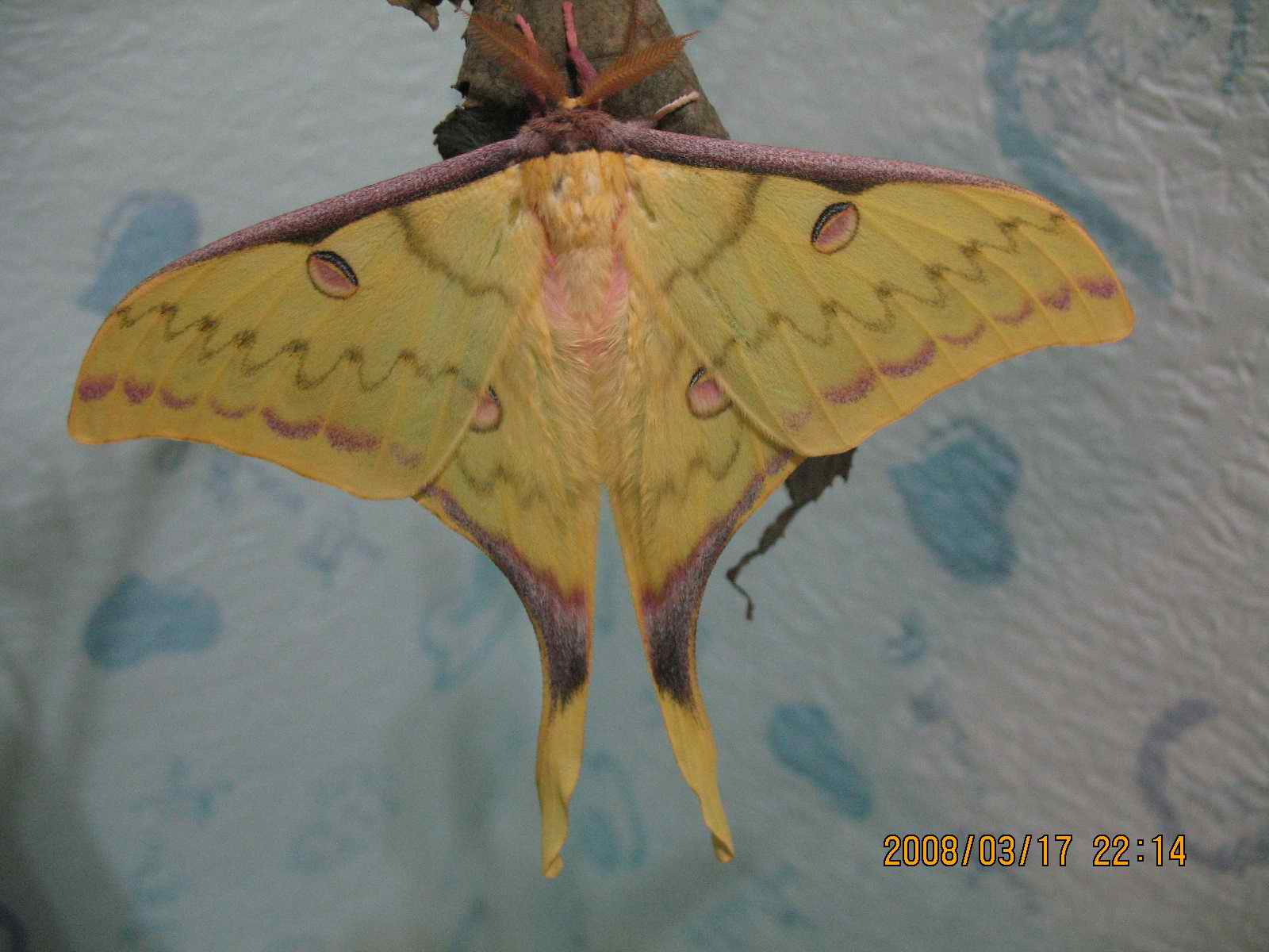 按此在新視窗瀏覽圖片