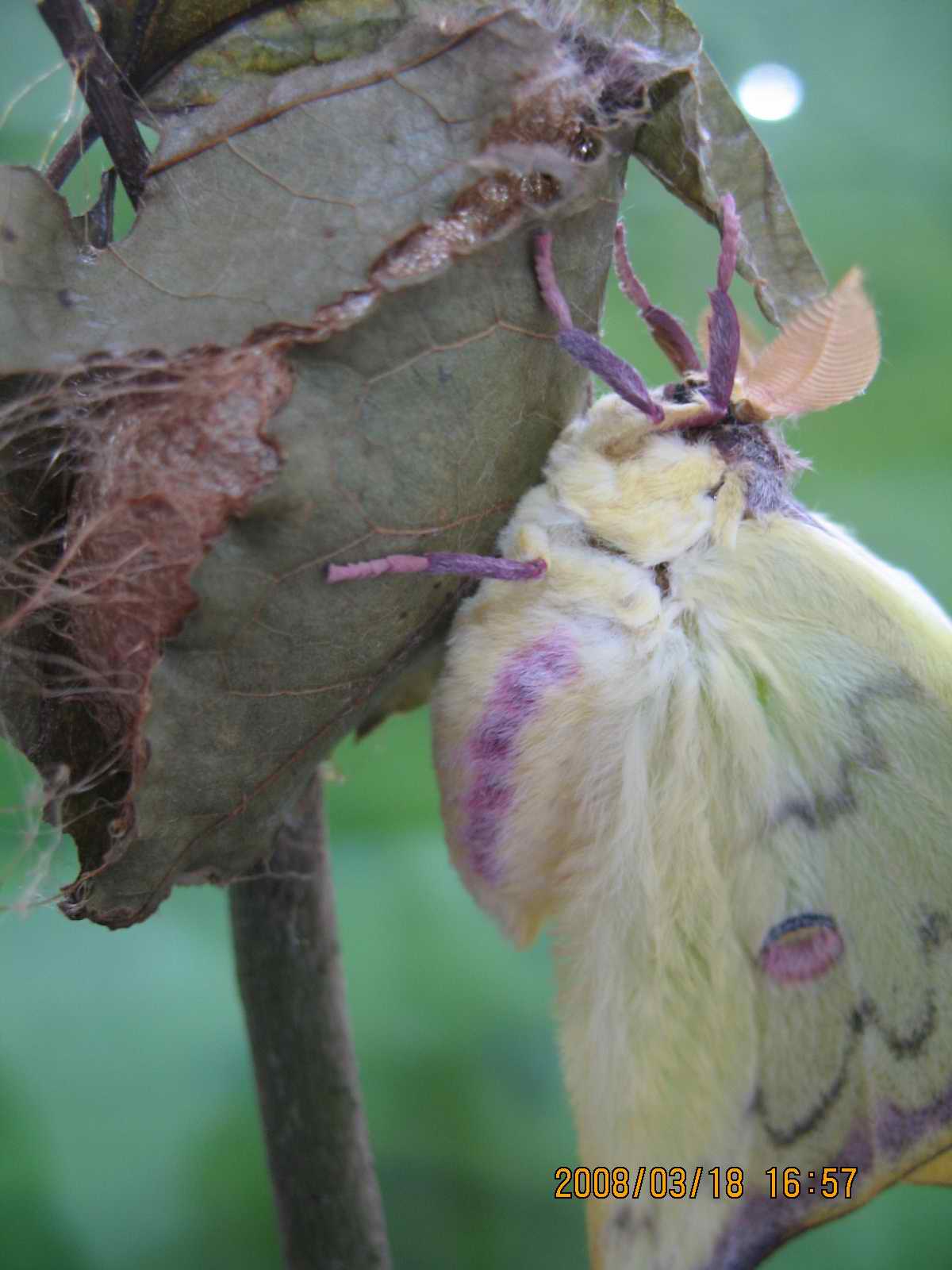 按此在新視窗瀏覽圖片