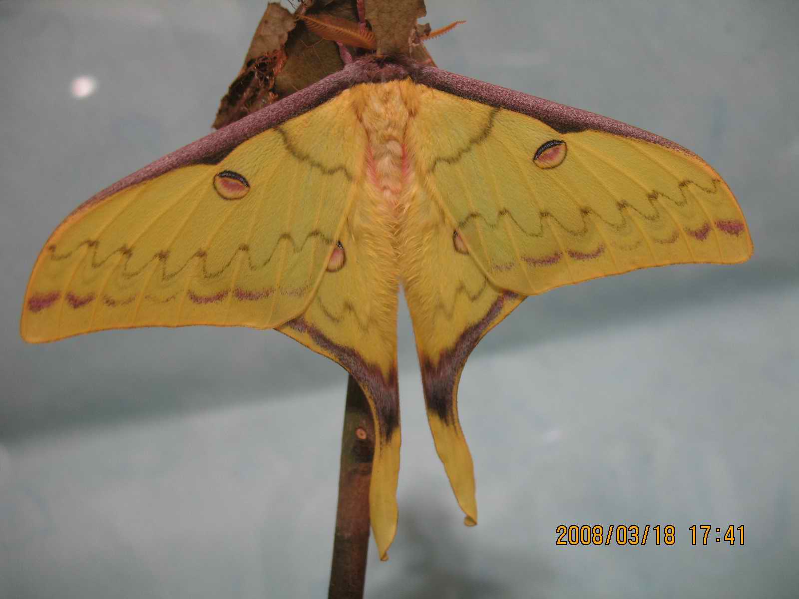 «ö¦¹¦b·sµøµ¡ÂsÄý¹Ï¤ù