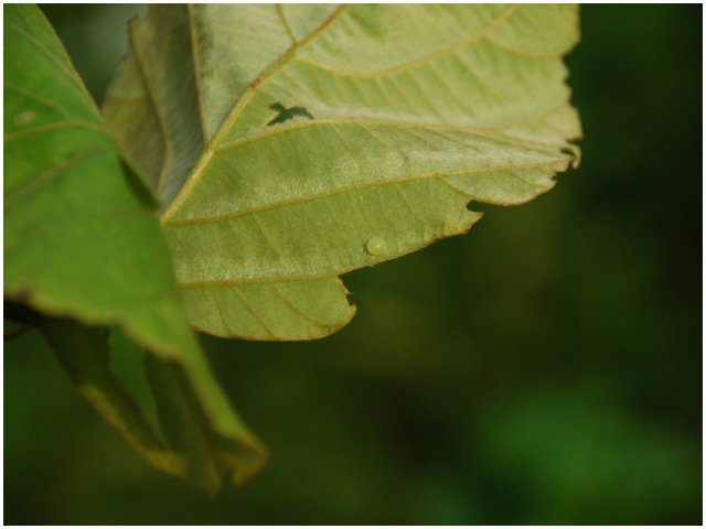 «ö¦¹¦b·sµøµ¡ÂsÄý¹Ï¤ù