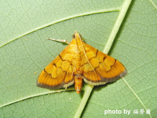 按此在新視窗瀏覽圖片