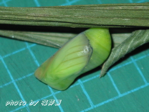 按此在新視窗瀏覽圖片