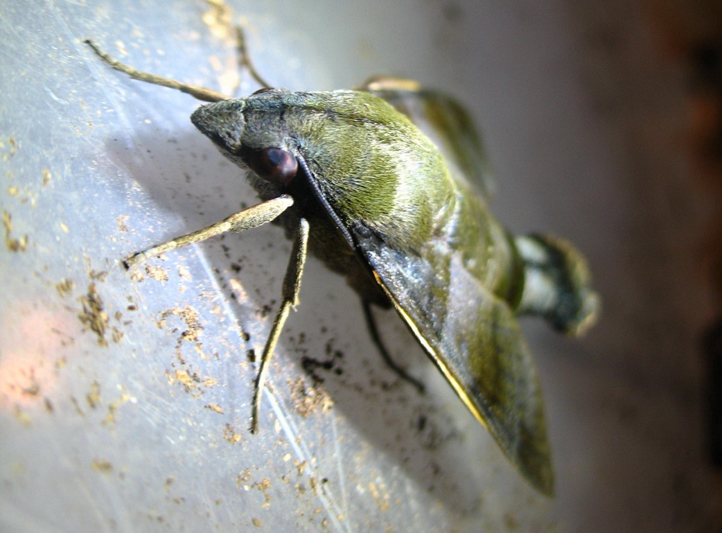 «ö¦¹¦b·sµøµ¡ÂsÄý¹Ï¤ù