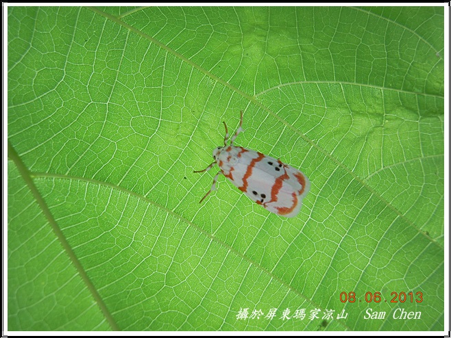 按此在新視窗瀏覽圖片