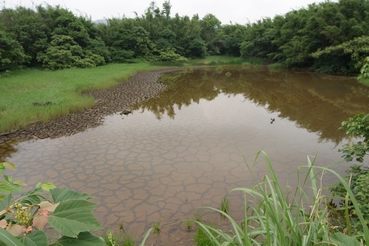 按此在新視窗瀏覽圖片