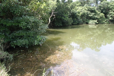 按此在新視窗瀏覽圖片