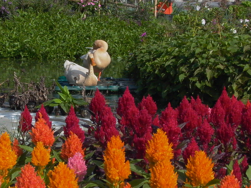 按此在新視窗瀏覽圖片