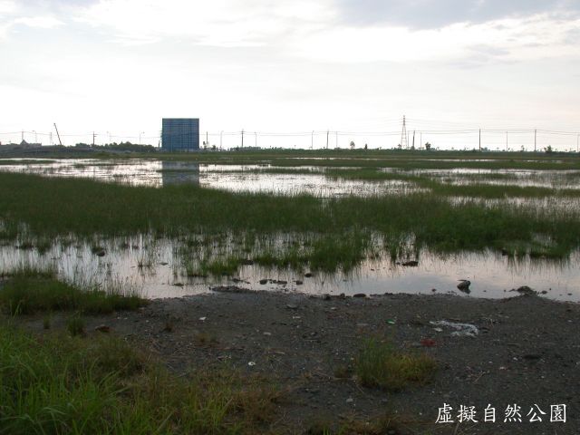 按此在新視窗瀏覽圖片