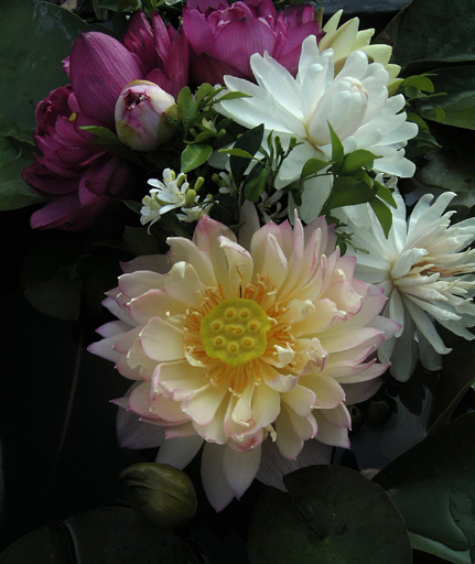 按此在新視窗瀏覽圖片