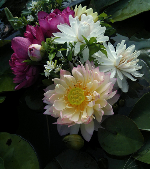 按此在新視窗瀏覽圖片