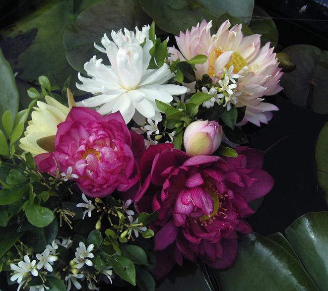 按此在新視窗瀏覽圖片