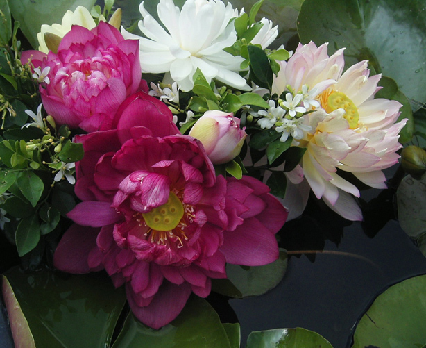 按此在新視窗瀏覽圖片