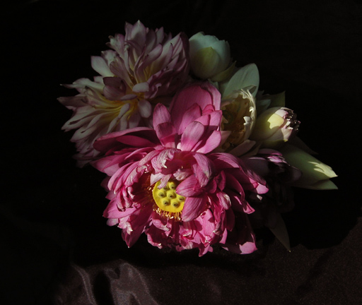 按此在新視窗瀏覽圖片