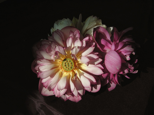 按此在新視窗瀏覽圖片