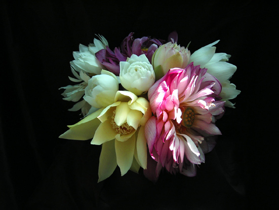 按此在新視窗瀏覽圖片