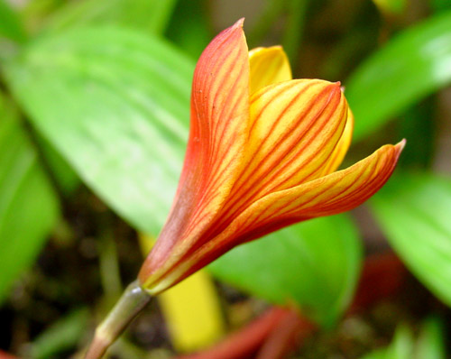 按此在新視窗瀏覽圖片