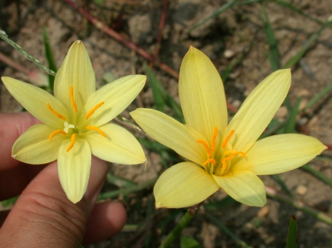 按此在新視窗瀏覽圖片