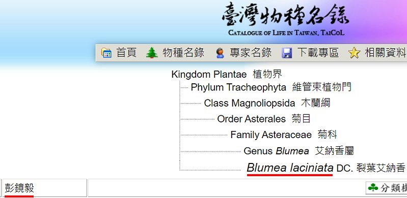 按此在新視窗瀏覽圖片
