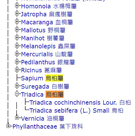 «ö¦¹¦b·sµøµ¡ÂsÄý¹Ï¤ù