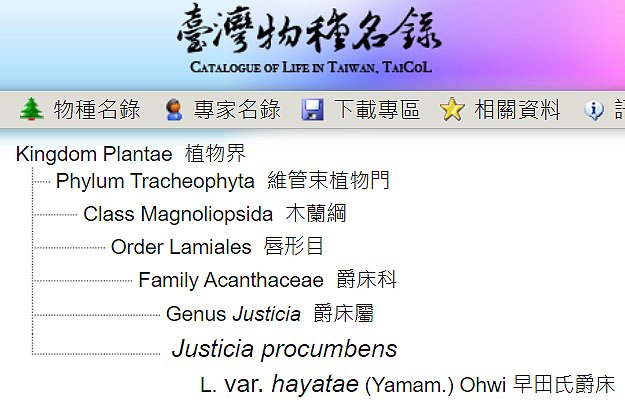 按此在新視窗瀏覽圖片