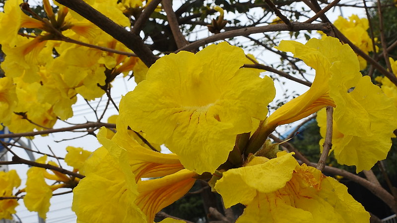 «ö¦¹¦b·sµøµ¡ÂsÄý¹Ï¤ù