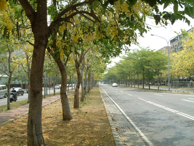 按此在新視窗瀏覽圖片