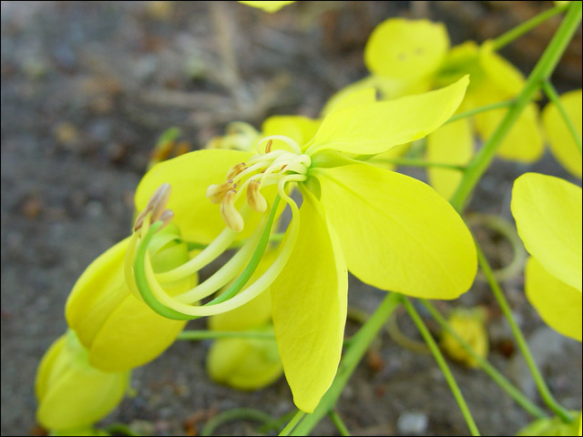 按此在新視窗瀏覽圖片