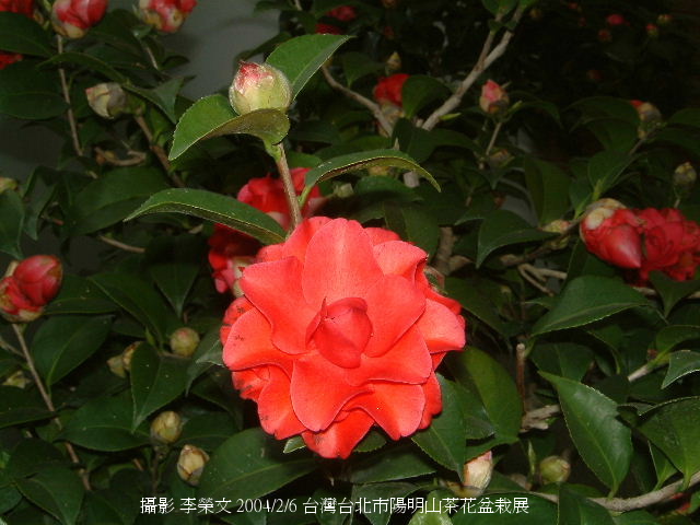 按此在新視窗瀏覽圖片