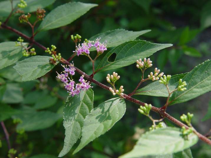 «ö¦¹¦b·sµøµ¡ÂsÄý¹Ï¤ù