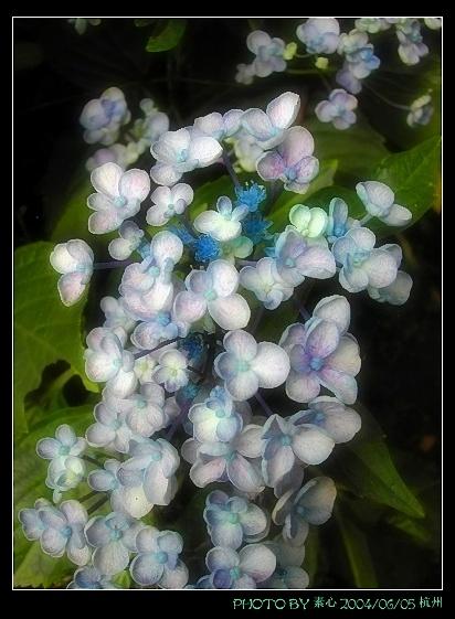 «ö¦¹¦b·sµøµ¡ÂsÄý¹Ï¤ù