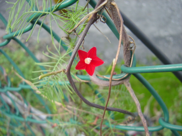 «ö¦¹¦b·sµøµ¡ÂsÄý¹Ï¤ù