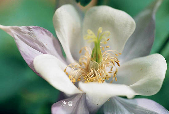 按此在新視窗瀏覽圖片