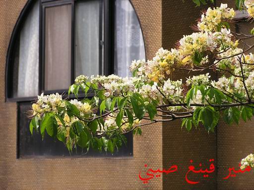 «ö¦¹¦b·sµøµ¡ÂsÄý¹Ï¤ù