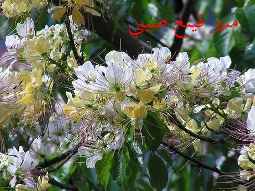 «ö¦¹¦b·sµøµ¡ÂsÄý¹Ï¤ù