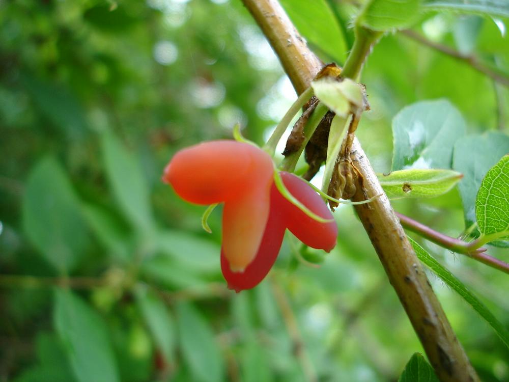 «ö¦¹¦b·sµøµ¡ÂsÄý¹Ï¤ù