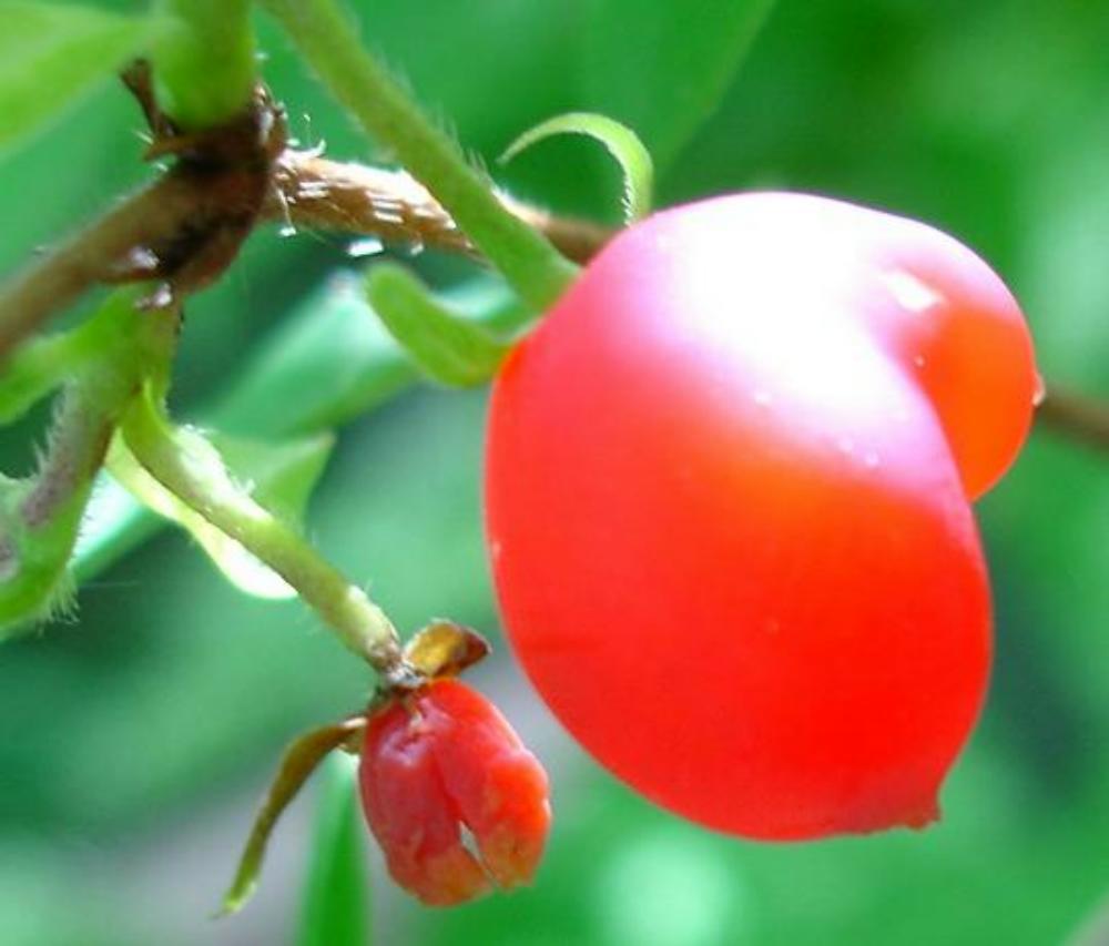 «ö¦¹¦b·sµøµ¡ÂsÄý¹Ï¤ù