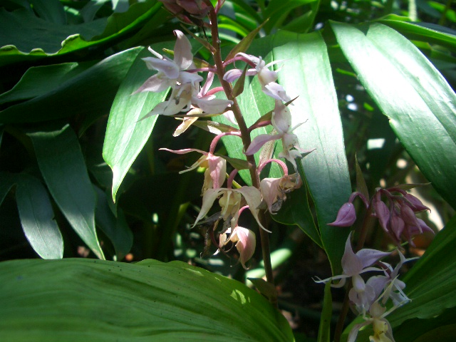 按此在新視窗瀏覽圖片