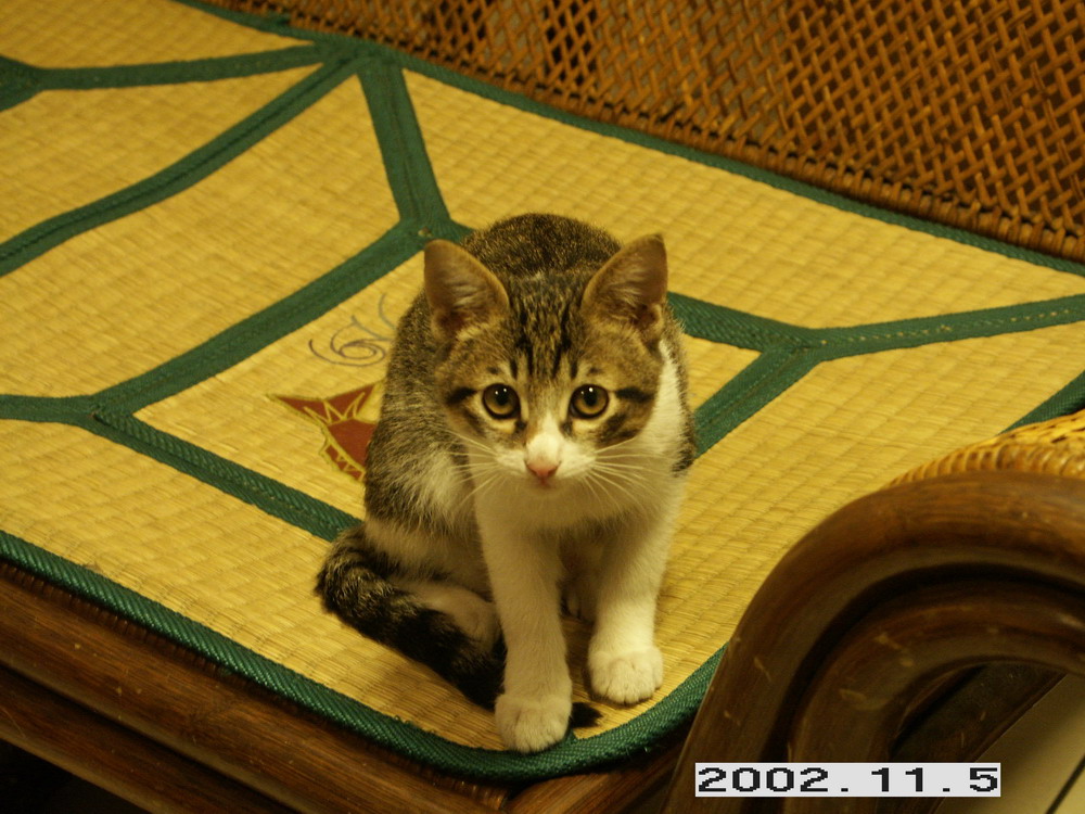 «ö¦¹¦b·sµøµ¡ÂsÄý¹Ï¤ù