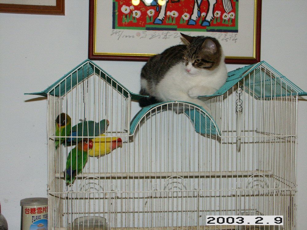 «ö¦¹¦b·sµøµ¡ÂsÄý¹Ï¤ù