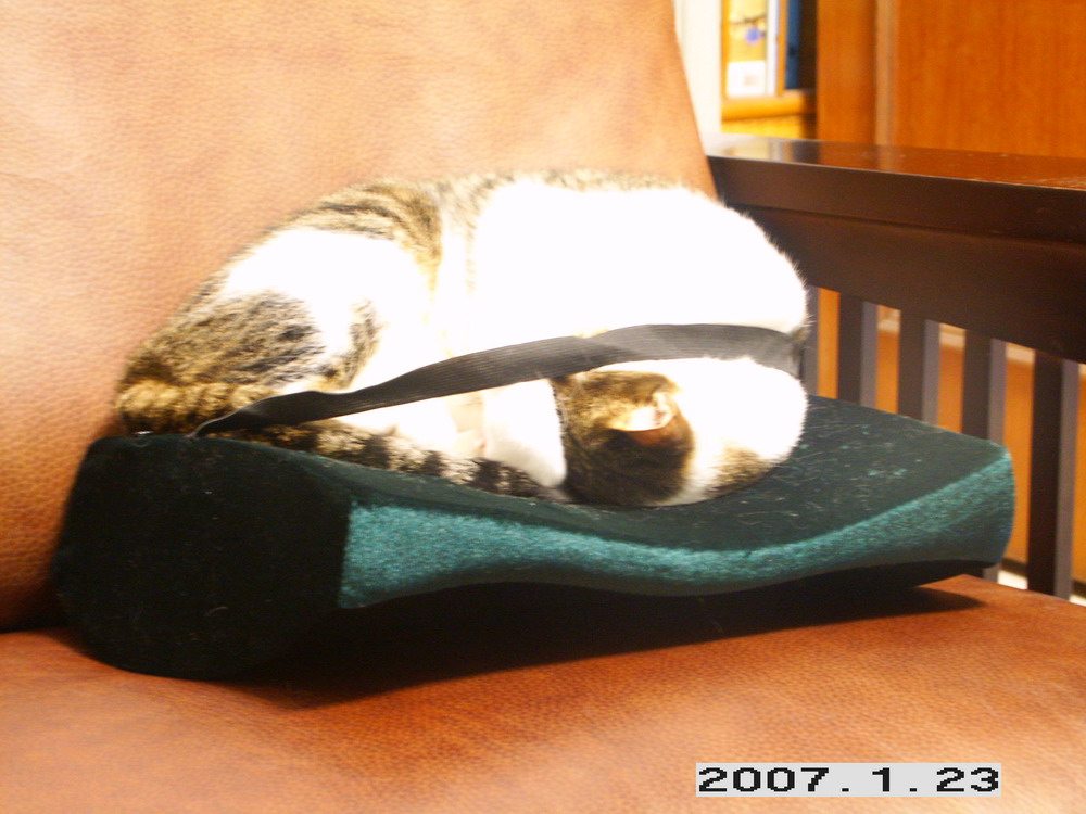 «ö¦¹¦b·sµøµ¡ÂsÄý¹Ï¤ù